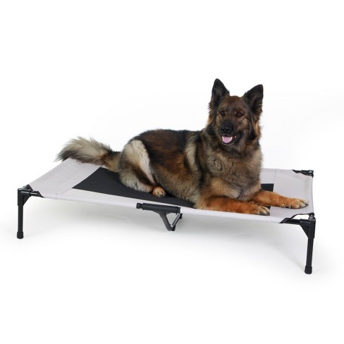 K&h pet products original pet outlet cot elevated pet bed