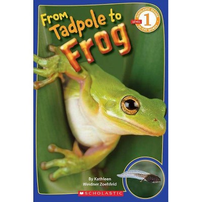 From Tadpole to Frog (Scholastic Reader, Level 1) - (Scholastic Reader: Level 1) by  Kathleen Weidner Zoehfeld (Paperback)