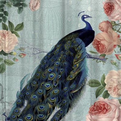vintage rose flowers and peacock high