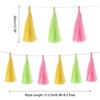 Unique Bargains Party Decoration Reusable Tassel Garland Banner DIY Kits 15 Pcs - 2 of 4