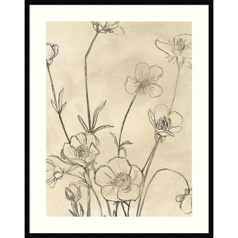 32&#34; x 41&#34; Vintage Wildflowers I by June Erica Vess Framed Wall Art Print Black - Amanti Art, 1 of 11