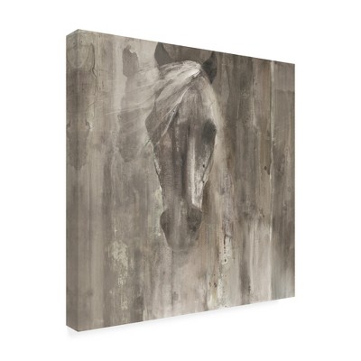 Trademark Fine Art -Albena Hristova 'Shadow Light Gray Horse' Canvas Art
