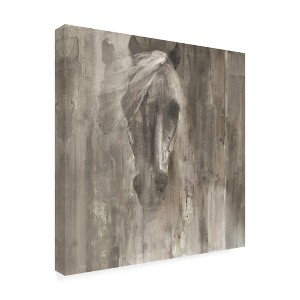 Trademark Fine Art -Albena Hristova 'Shadow Light Gray Horse' Canvas Art - 1 of 4