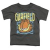 Toddler Boys' Garfield Rad Garfield T-Shirt Charcoal - 2 of 4