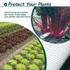Large Size Galvanized Hexagonal Floral Green Chicken Wire, Outdoor Anti-Rust Chicken Wire Poultry Netting for Garden, Large Chicken Coop Wire Fencing - 3 of 4