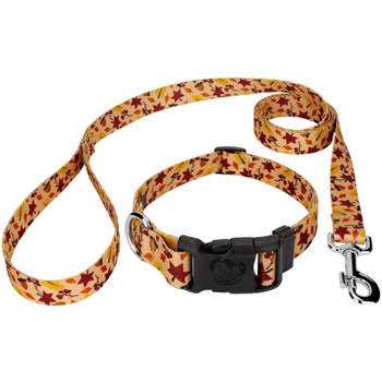 Country Brook Petz Premium Fall Foliage Dog Collar and Leash (1 Inch, Large)