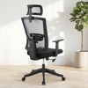 Ergonomic Office Chair with Lumbar Support & Flip-Up Arms - 350Lb Adjustable Mesh Desk Chair for Home/Gaming - 3 of 4
