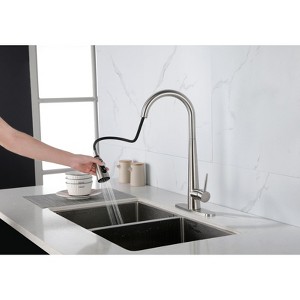 PAGED Bathroom Sink Faucet, High Arc Single Handle Bathroom Faucets with Deck Plate, Kitchen Faucet with Pull Down Sprayer - 1 of 4