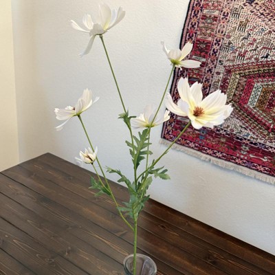 Guest review image 1 of 3, zoom in