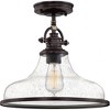 Quoizel Lighting Grant 1 - Light Pendant in  Palladian Bronze - 4 of 4