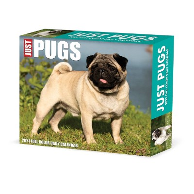 2022 Box Calendar Just Pugs - Willow Creek Press