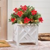 The Lakeside Collection Lighted Poinsettia Greenery Collection - Urn Filler - 3 of 3