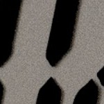 naval academy midshipmen