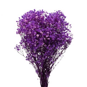 Unique Bargains Natural Dried Baby's Breath Flowers Branches for Wedding Party Decoration Purple 1 Pc - 1 of 4