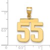 Black Bow Jewelry 14k Yellow Gold, Athletic Collection Medium Polished Number 55 Pendant - 3 of 4