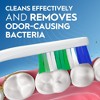 Oral-B Essential Clean Fresh Toothbrushes Soft 6 count - 2 of 4