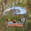 Cole's Bountiful Bowl Wild Bird Bowl Feeder with Adjustable Dome, Clear Polycarbonate, 12in - 2 of 4