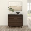 Plank+Beam 3 Drawer Dresser with Brass Handle - 2 of 4