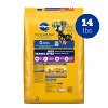 Pedigree with Tender Bites Chicken & Steak Flavor Adult Complete & Balanced Dry Dog Food - 14lbs - 2 of 4