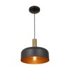 Artcraft Lighting Orsa 1 - Light Pendant in  Black/Brushed Brass - 2 of 4