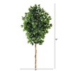 Nearly Natural 6-ft Ficus Artificial Tree (No Pot) - image 2 of 3