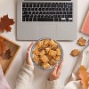 Kellogg's Frosted Mini-Wheats Pumpkin Spice Breakfast Cereal - 20oz - 3 of 4