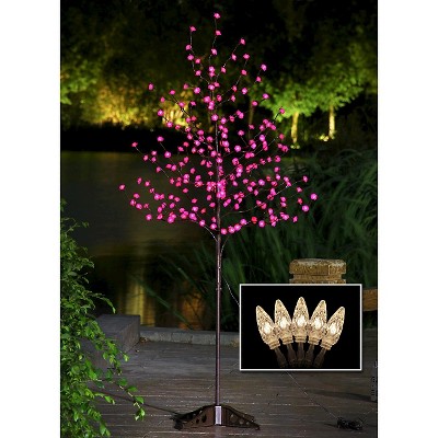 outdoor white lights for trees