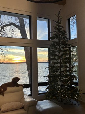 Guest review image 1 of 1, zoom in