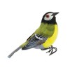 Melrose Feathered Bird Accent (Set of 12) - 3 of 4