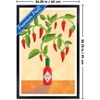 Trends International Reinders: Food - Chili Tree Framed Wall Poster Prints - 3 of 4