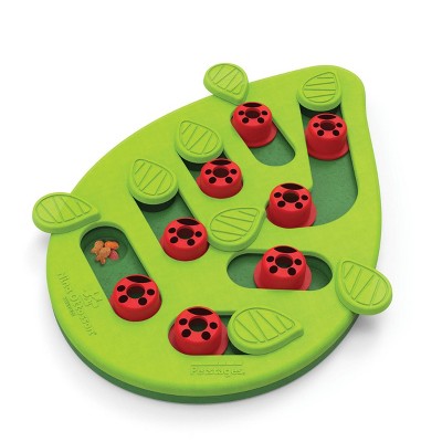 Petstages Nina Ottosson Buggin Out Interactive Treat Puzzle Cat Toy
