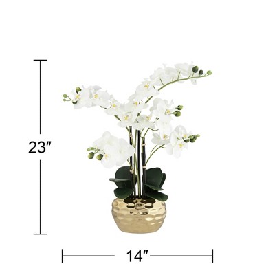 White Phalaenopsis Orchid in Textured Gold Ceramic Pot, 23" High