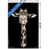 Trends International Portrait of a Giraffe Framed Wall Poster Prints - 3 of 4