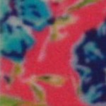 tiger and blue flowers