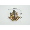 Collectible Wildlife Gifts | Frog, Brown & Yellow, Amphibians, High Quality, Hand Painted, Rubber, Realistic, Model,  Toy, Gift,  2 1/2"   RI31 B177 - 3 of 4