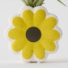 Live Houseplant with Florets Pot Yellow - Good Little Garden™ - 2 of 4