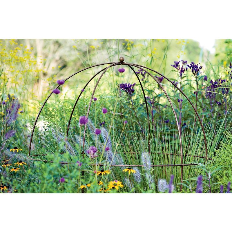 Gardeners Supply Company Jardin Bird Cage Plant Support | Large Sturdy Grow-Through Steel Flower Support Trellis and Garden Decor | Best to Support, 3 of 4