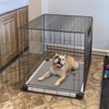 FXW TitanNest Chew-Proof Elevated Dog Bed, Raised Cot for Indoor/Outdoor/Camping Use, Durable & Washable Padded Pet Bed - 3 of 4