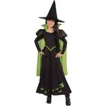 Rubie's Girls' The Wizard of Oz Wicked Witch of the West Costume