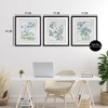 Stupell Industries Wild Blooms with Detailed Outlines 3pc Framed Print Under Glass Set - 3 of 4