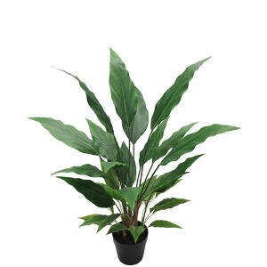 Floral Home 3' Spathiphyllum Plant in Pot - 6-Piece - 1 of 4