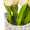 10" Artificial Light Yellow Tulips in White Basket - National Tree Company - image 3 of 3