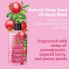 Hempz Herbal Body Wash | Leaves Your Skin Feeling Soft and Hydrated | 3-in-1 Body Wash With Plant Based Extracts - Pomegranate (PACK OF 2) - image 2 of 4