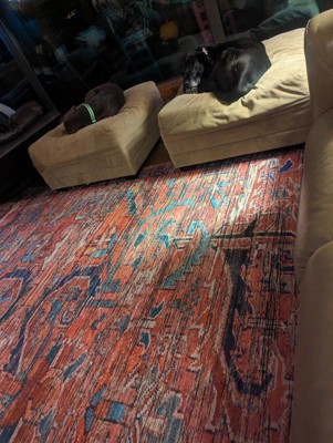 Guest review image 1 of 1, zoom in
