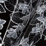 black white stencil floral