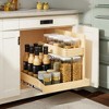 LunaLulinlk Under Sink Organizers and Storage 22½" W x 21" D, 2 Tier Pull Out Cabinet Organizer with Soft Close - 2 of 4