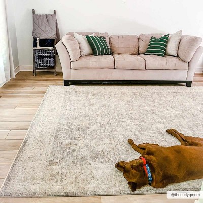 Hauteloom Binx Statement Rug