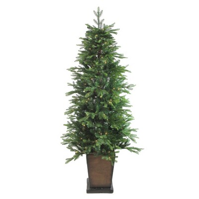 Northlight 6' Prelit Artificial Christmas Tree Potted Oregon Noble Fir - Warm White LED Lights