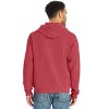 Hanes Men's Garment Dyed Fleece Hoodie - 3 of 4