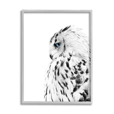 Stupell Industries Snow Owl White Feathers Peering Blue Eyes